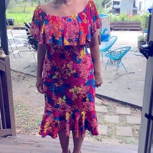 NWT Lula Roe dress. Floral spring print